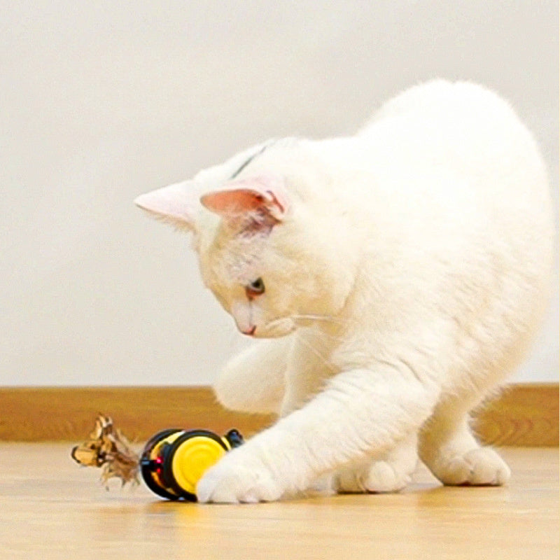 Unleash Your Cat's Inner Hunter with the Cute Bee Running Kitten Pet Toys