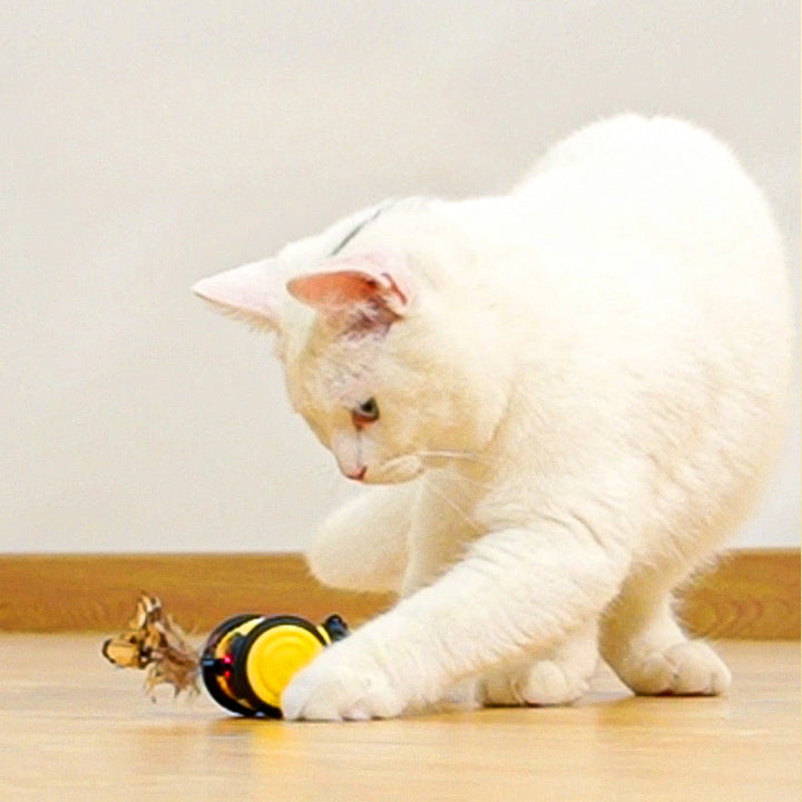 Unleash Your Cat's Inner Hunter with the Cute Bee Running Kitten Pet Toys