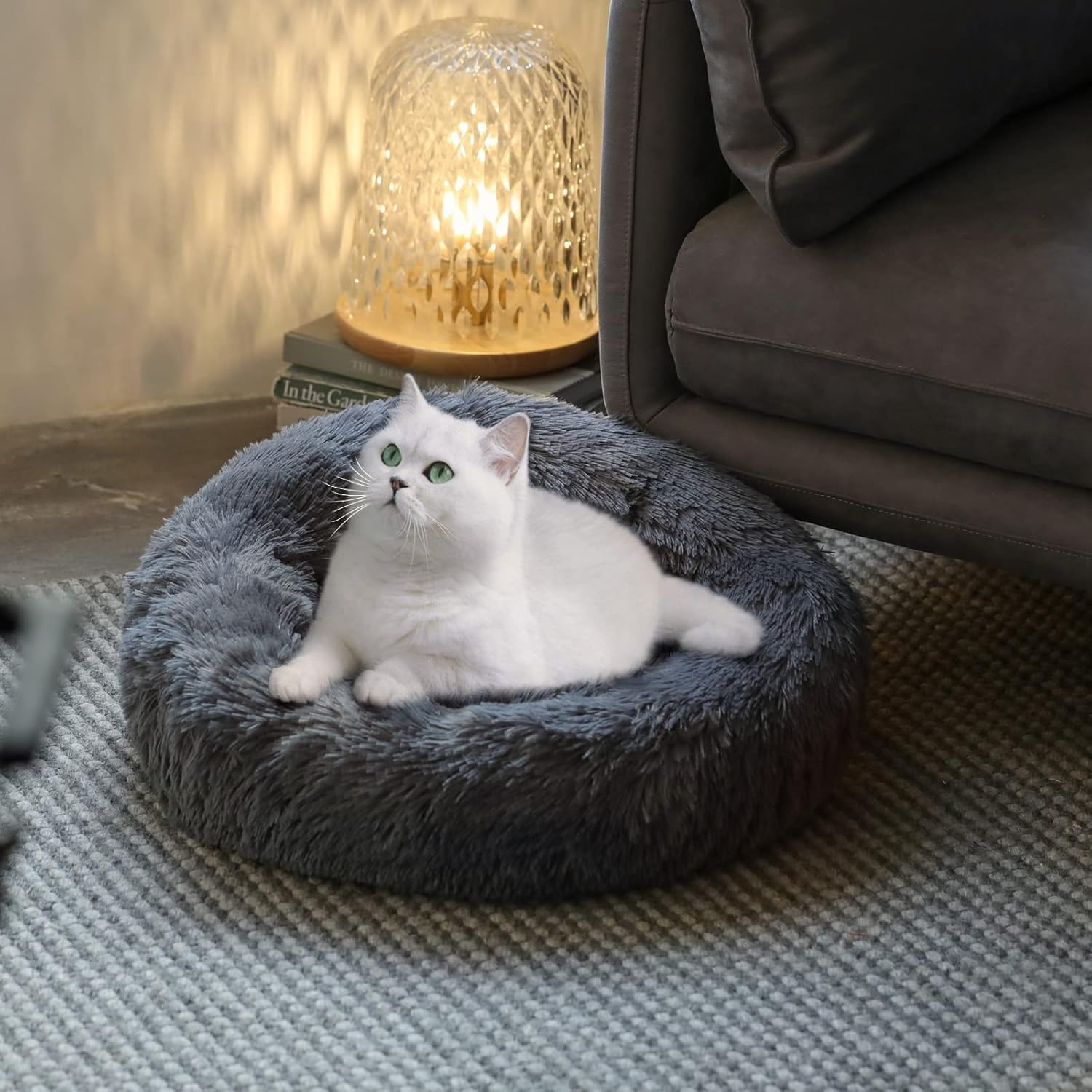 Creating a Cozy Bedtime for Your Pets