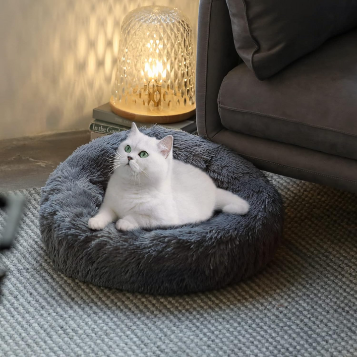 Creating a Cozy Bedtime for Your Pets