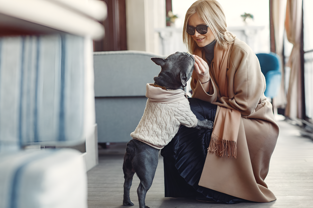 Dressing Your Pet with Comfort and Style