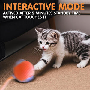 Elevate Playtime with Our Cat Interactive Ball Toys