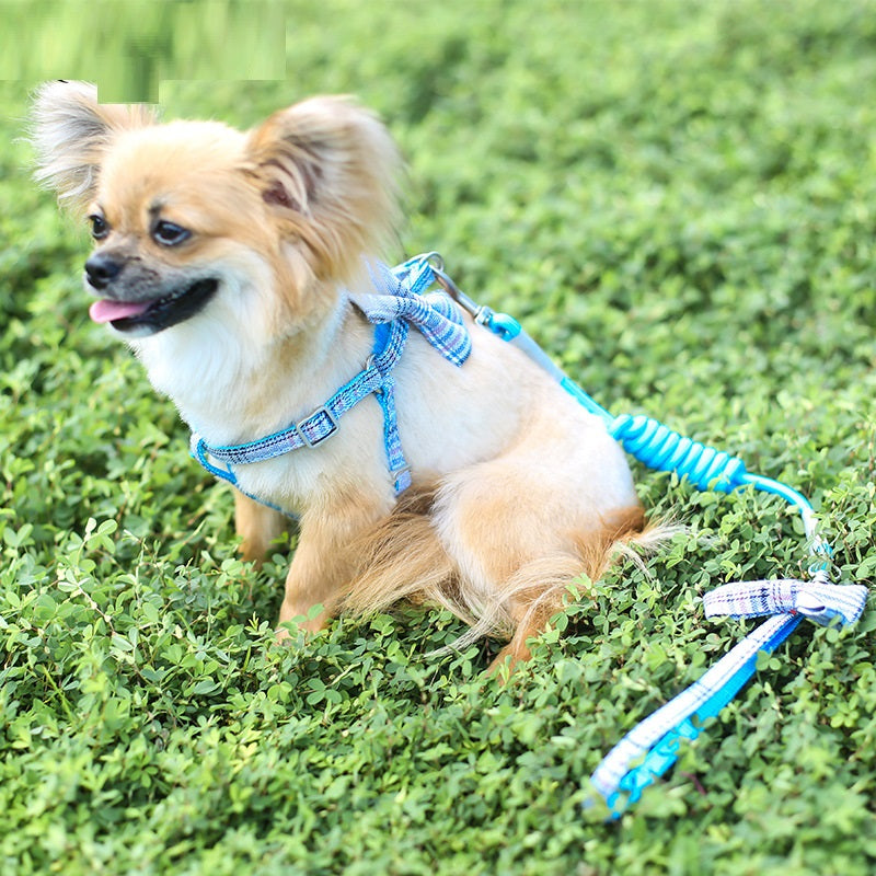 Small And Medium-sized Leash Pet