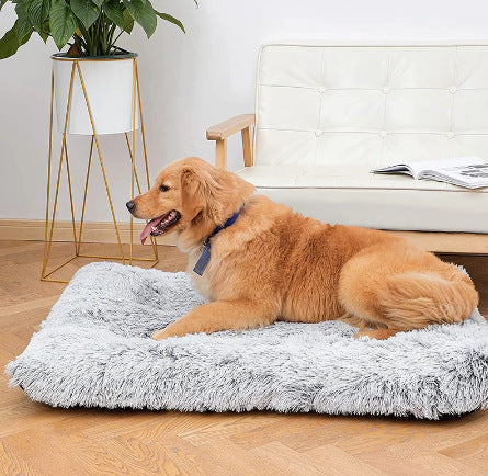 Plush Square Pet Bed