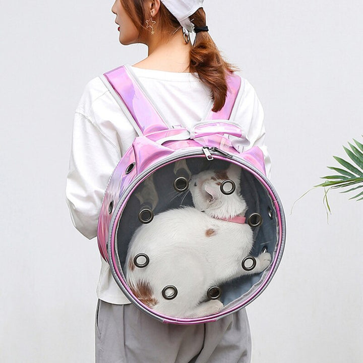Transparent Pet Bag Go Out Portable
