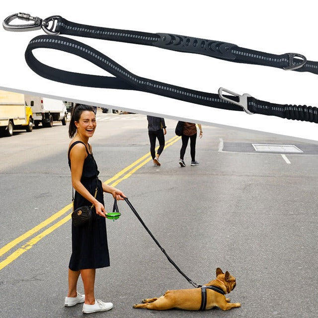 Car Traction Dog Leash Can Go Out