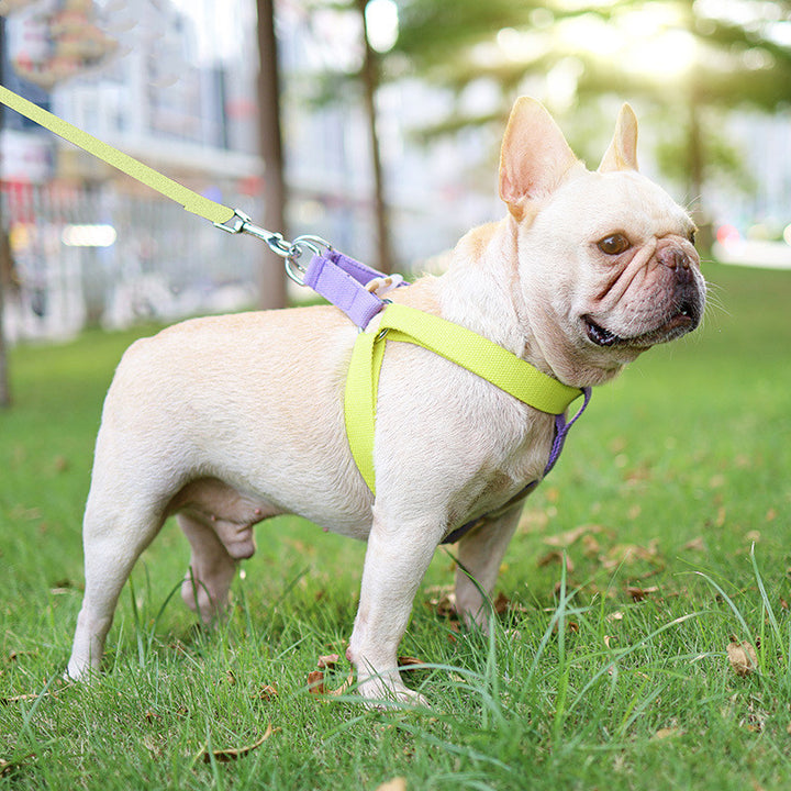 Pet Drawstring Leash Dog Leash