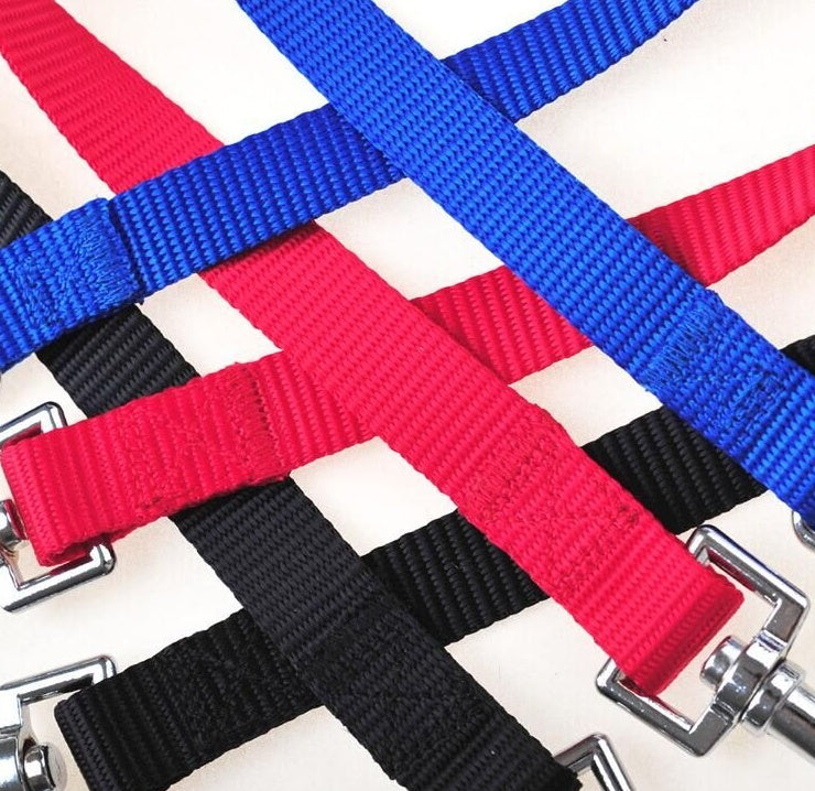 Double Twin Lead Walking Leash