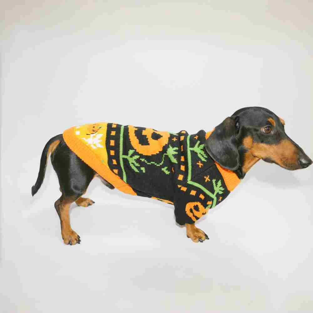 Dog Cat Pet Clothes Warm Sweater