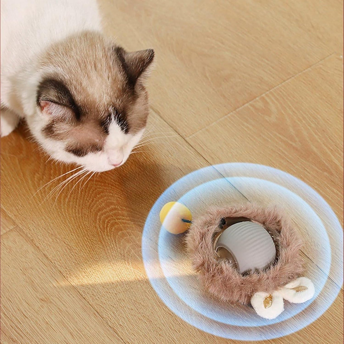 Interactive Cat Toys Rolling Ball
