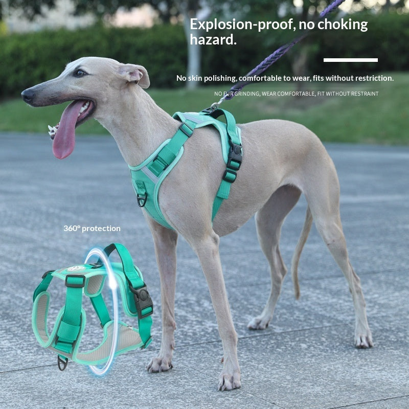 Large Dog Chest Harness Leash Portable
