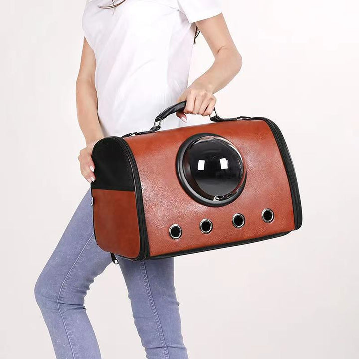 Transparent Go Out Portable Pet Bag