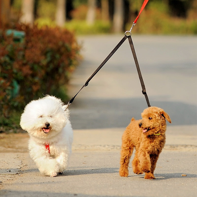 Double Twin Lead Walking Leash