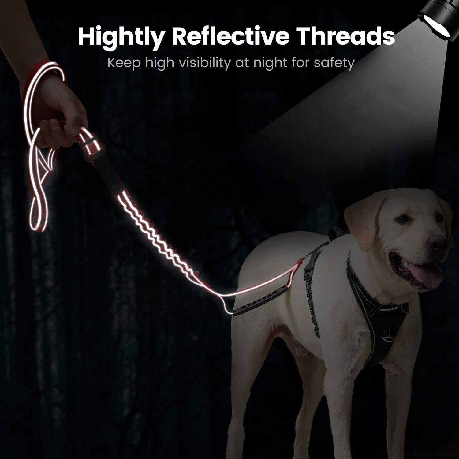 Explosion-proof Rush Dog Leash