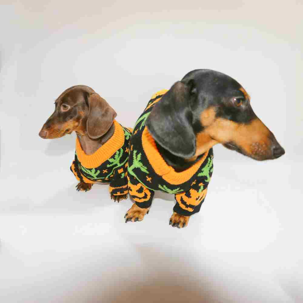 Dog Cat Pet Clothes Warm Sweater