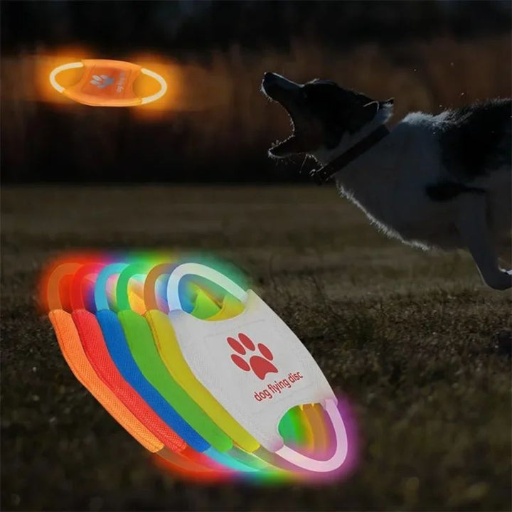 Interactive Toys Game Flying Discs Dog Toy