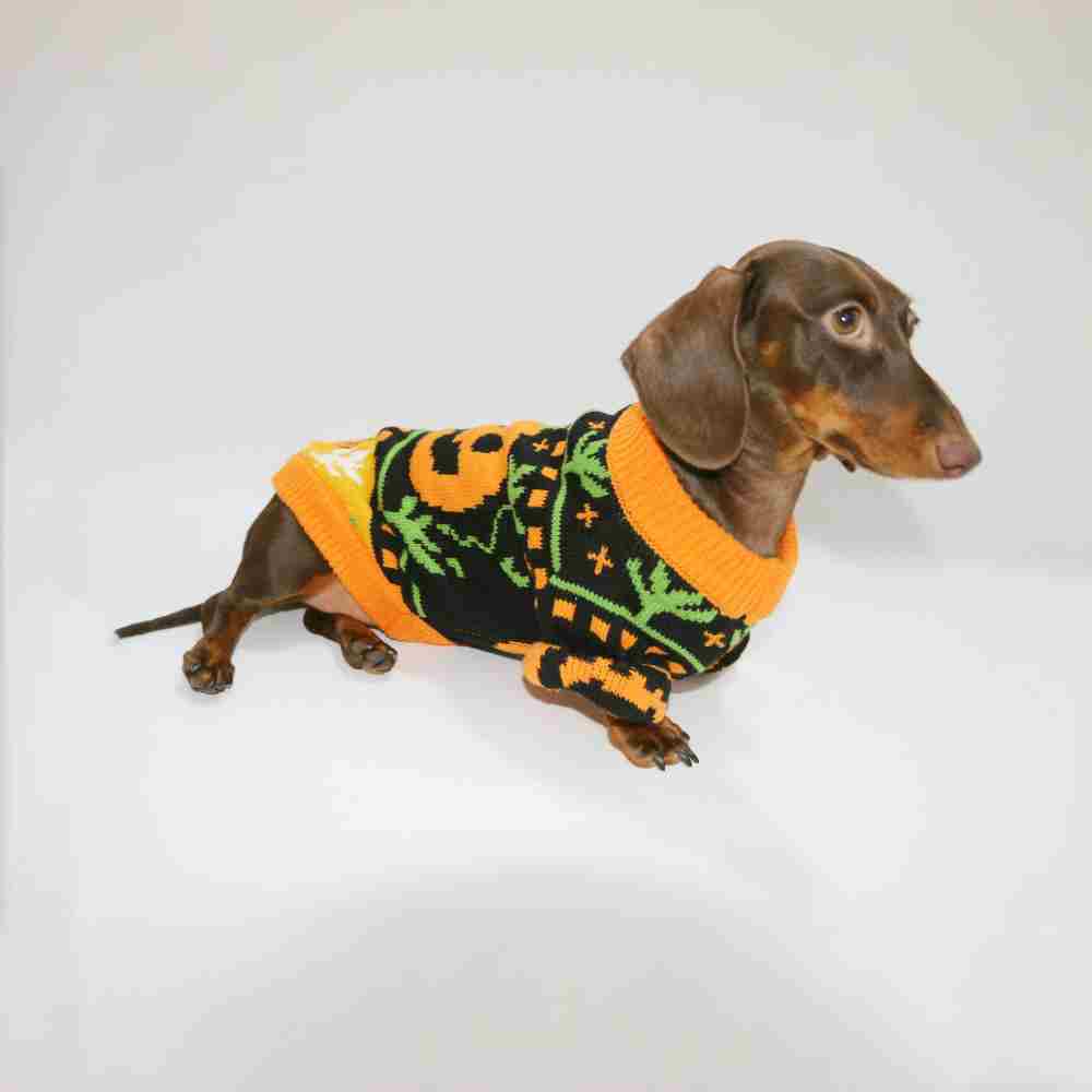 Dog Cat Pet Clothes Warm Sweater