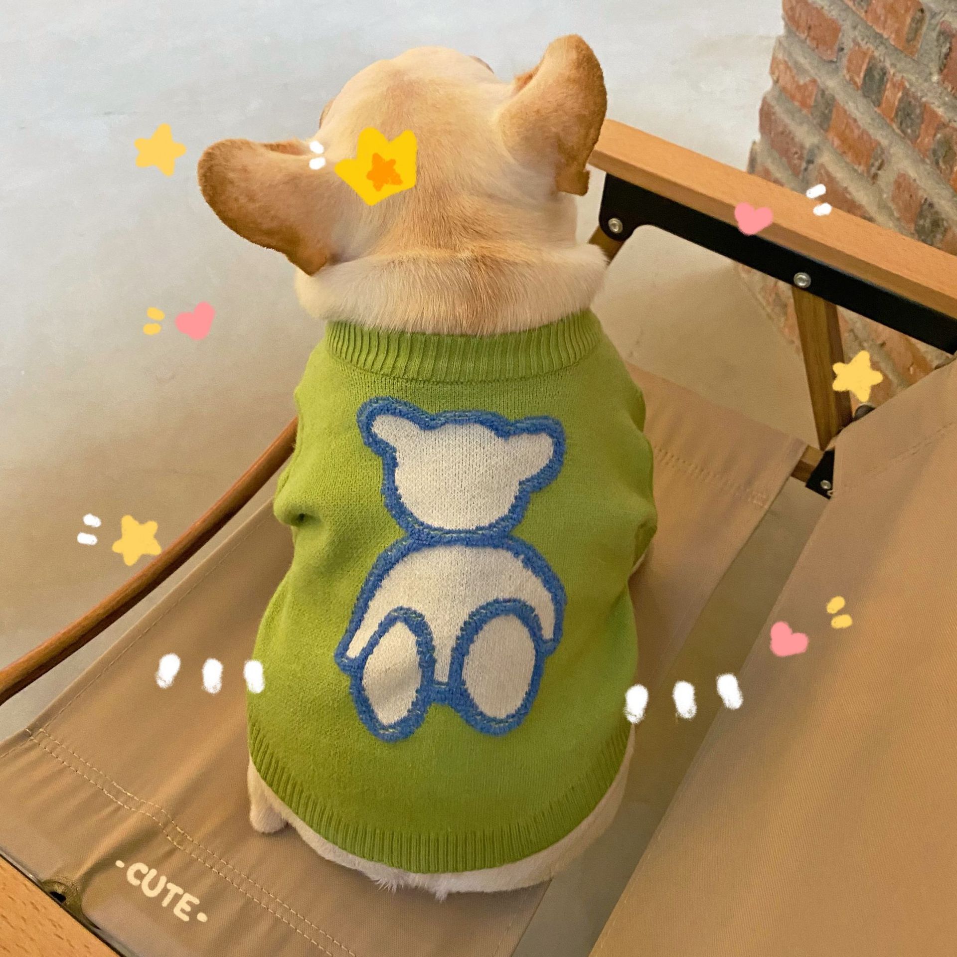 Pet Clothes Dog Fall Winter Sweater
