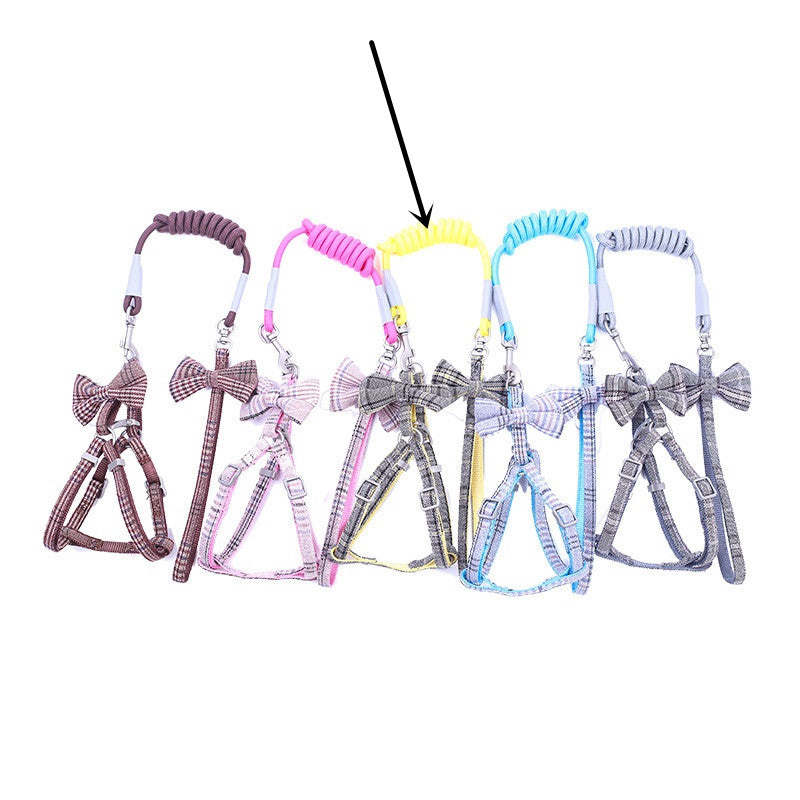 Small And Medium-sized Leash Pet