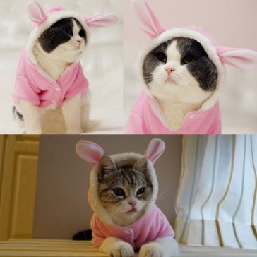 Pet Cat Clothes Costume Clothes