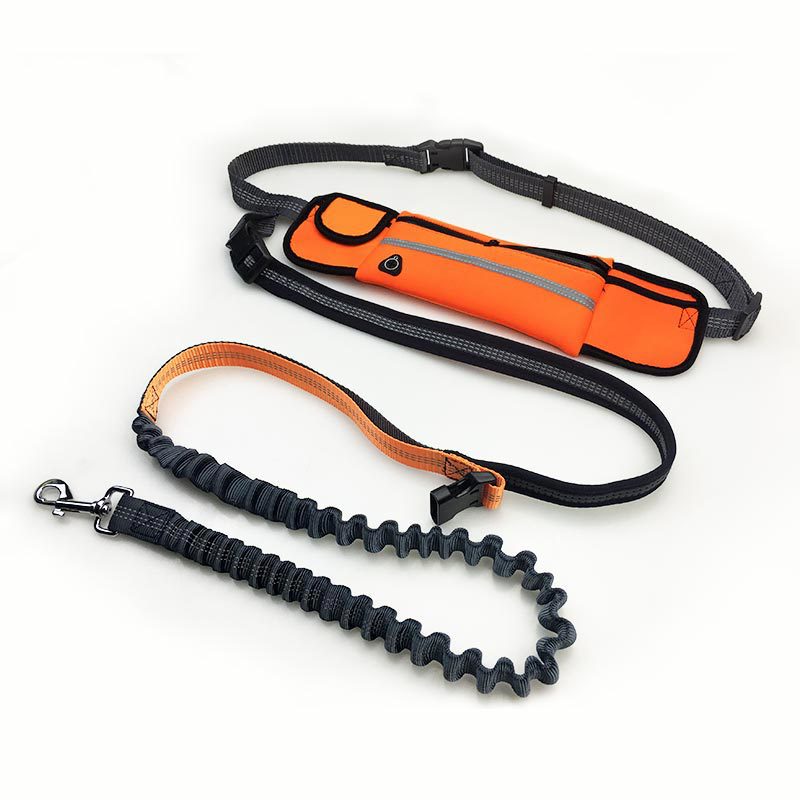 Waist Bag Sports Running Leash