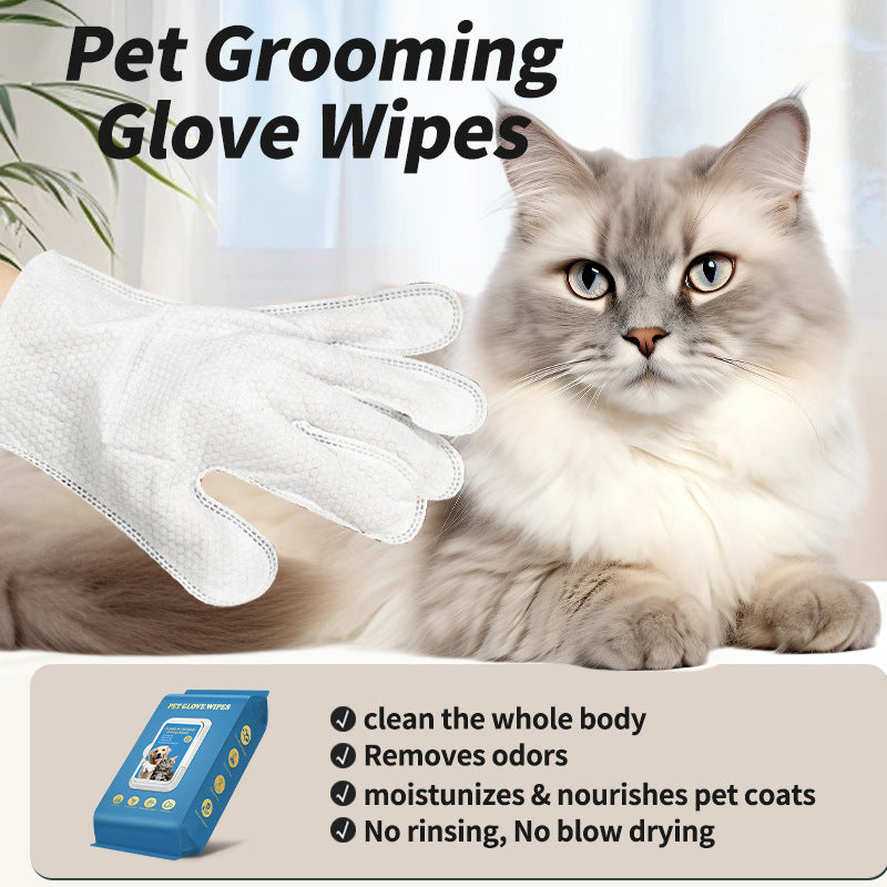 Disposable Gloves Pet Cat Dog Pet Supplies