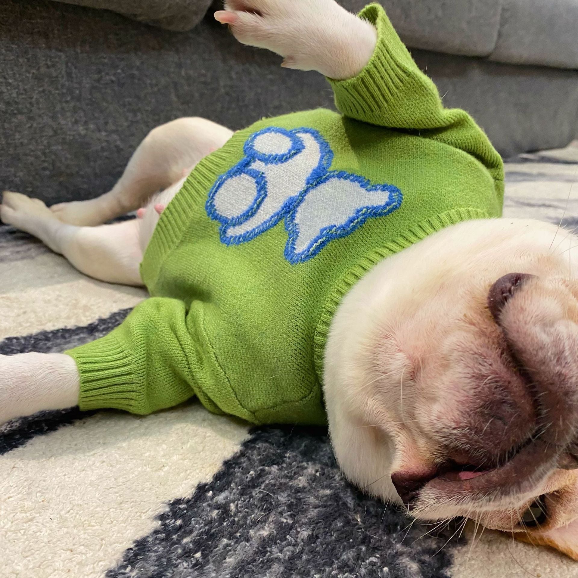 Pet Clothes Dog Fall Winter Sweater